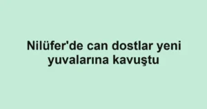 Nilüfer’de can dostlar yeni yuvalarına kavuştu